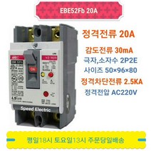 LS산전 EBE52Fb 2P 20A/30mA 누전차단기 2.5kA ELCB ELB