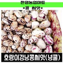 콩-호랑이콩 30g 호랑이강낭콩/넝쿨성/넝쿨/덩쿨/덩굴강낭콩/씨앗/종자