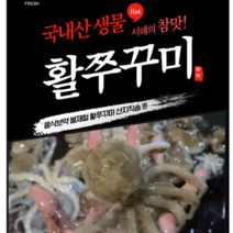 서해 제철 활 급냉 쭈꾸미 알배기 쭈꾸미 생물 쭈꾸미1kg (10~15미), 1kg(10~15미)