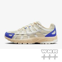 나이키 P-6000 FJ5443-113