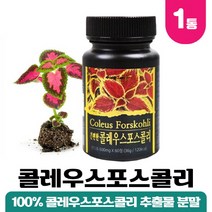 콜레우스포스콜리 콜레우스 포스콜린 코레우스 포스콜리 콜레오스 추출물 분말 정 알약 형태 콜리우스포스 코린, 1통