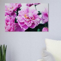 아트박스/꾸밈 ps359-아크릴액자_부를부르는풍수작약꽃(대형)