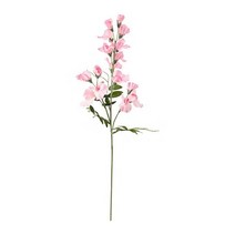 이케아 스뮈카 조화 스위트피 라이트핑크 60cm