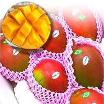[프레시러시] 항공직송 애플망고 2kg 특품 4과 내외 열대과일, 애플망고 2kg(4과 내외), 1개