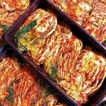 [비비고여행용김치] 해썹 100%국산 당일 담근 생김치 전문 당일제조 발송, 10kg, 1box