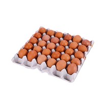 [더 시선] 무항생제 구운계란 싹쓸이 1세트, 30개, 35g