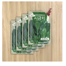 BFA 채소씨앗 시금치, 40개입
