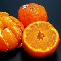 제주 효돈농협 행복담원 프리미엄 레드향 3kg 12과 선물세트