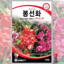 봉선화 100립 / 봉숭아 일년생 꽃씨 꽃 씨앗 mix garden balsam seed