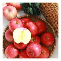 [햇살가득] 경북 가정용 햇 사과 3.5kg (9~15과이하), 상세 설명 참조