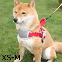 JT 3D 견체공학적 하네스 대형견 리드줄 XS-M, 스피드컴119고양일산지점 브라운S