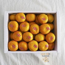 HL) 제주도귤 제주 밀감 귤 31~50과 선물세트 감귤 3kg