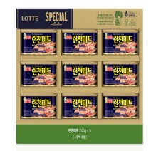 롯데햄 런천미트 8호 1개 [명절 선물세트 행사], 1세트