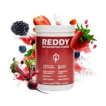 Reddy 레디 슈퍼푸드 파우더 프로바이오틱스