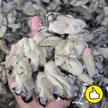 통영 당일채취 선도좋은 싱싱하고 맛있는 횟감용 생굴 1kg 2kg 3kg 굴회 찜 구이 무침 김장 산지직송