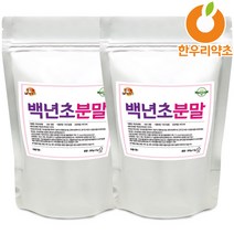 백년초 가루 600g 분말 선인장열매 효능, 백년초열매가루 600g, 1개