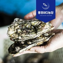 산지직송 통영 각굴/석화 5kg 10kg, 각굴／석화 10kg