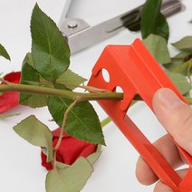 재료 실기 가시 꽃꽂이 제거기 화훼장식기능사 장미 27999ea, 다다모아 가시제거기