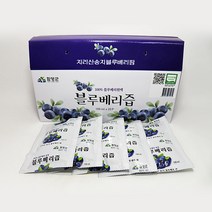 지리산 유기농 블루베리즙 100ml X 20포 국산 국내산, 블루베리즙20포
