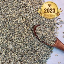힘찬농부오달봉 국산 흑보리 검정보리쌀 흑찰보리, 1개, 4kg(2kg 2봉)