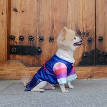 강아지 남자 한복 패션 예쁜 옷, 블루