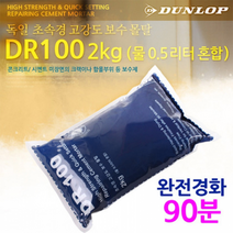 DR100 고강도 초속경 보수 몰탈 2kg[유통]
