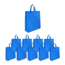 에클리츠 단색 부직포 가방 쇼핑백 (소) 학원가방, 10개입, 블루