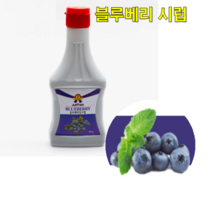 쥬피터 과일시럽 블루베리향 500g 칵테일재료 칵테일시럽 바나나시럽 망고시럽 에이드시럽, 과일시럽 블루베리향 500gx10