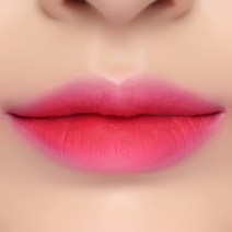 리브코이 슬라이딩 립 픽서, No.2 슬라이딩 핑크, 1개