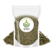 오허브 국산 측백 측백엽 측백나무잎 250g, 측백250g