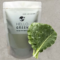 국산 케일 가루 분말 250g 베타카로틴 스무디 베이킹 반죽