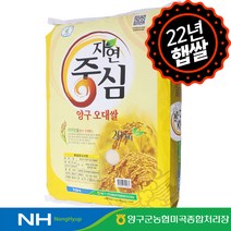 [하루세끼쌀] 22년 햅쌀 양구농협 양구 오대미 오대쌀 20kg 상등급+당일도정+무료안심박스