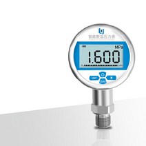 지능형 디지털 압력 게이지 0.2/0.4 스테인레스 스틸 고정밀 지진 디스플레이 유압 1 개, [19] custom made