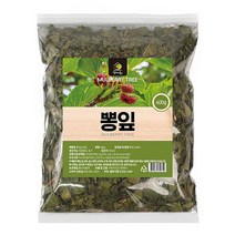 엄마애손 뽕잎 상엽 400g 국내산