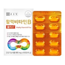 활력 비타민b 비타민비 비타민b군 플러스 8종 복합 수용성비타민 클로렐라 블루베리 농축분말, 2박스