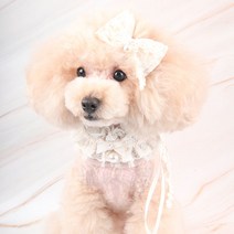 팝앤퍼피 셔링레이스케이프, M, 아이보리