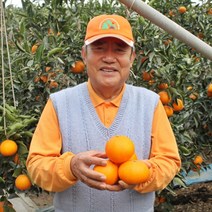 제주 서귀포 제철 고당도 레드향 못난이레드향 가정용 선물세트 3kg 5kg 10kg, 레드향 3kg 중소과(14~18수)