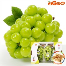 [선물용]샤인머스켓 (2kg) 1박스 국내산 특상품, 단품