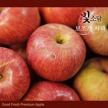 기타 [22년]빛소담 경북 보조개사과4.5kg*2박스 / 총9kg, 1