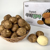 [기린]당일발송 23년 수확 햇감자 수미감자 2kg 3kg 5kg 1BOX, 2kg (특, 적당한크기), 1개