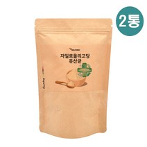 신제품 맛있는 요구르트맛 식물 모유 유래 유산균 분말 핵심 복합 균주 액션 신바이오틱스 포스트바이오틱스 프리바이오틱스 fos 프로바이오틱스 프로바이오 자일로올리고당 프락토올리고당 가루 장내 환경 개선 유익균 비피더스균 증식 특집, 2봉, 150g