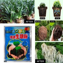 정원 원예 복합 비료 fast rooting powder 10pc extra fast, 10개