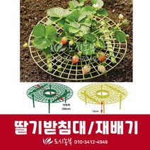 딸기받침대/딸기/재배기/화분/도시농부/모종/묘목