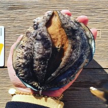 [활전복 산지직송] 완도 전복선물세트 직거래 대 특대 특특대 선물용 / 1kg 2kg 10미 20미 30미 40미 꼬마전복 미니전복 가정용 내일도착, 1-3) <중> 1kg 24-27미” class=”wr-img”></a></div></div></div></div><div class=