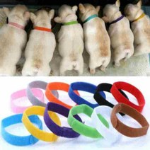강아지 고양이 출산준비물 탯줄 목걸이 12색SET 새끼구별 목줄 인식표, XXL