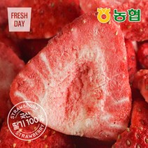 농협 생딸기그대로 동결건조 과일칩 나는딸기얌, 1봉, 12g