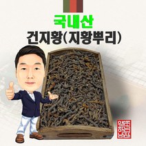 국내산 건지황 300g/100g (경북 영천) 말린지황 지황뿌리, 100g