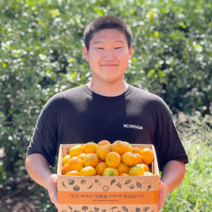 제주도 서귀포 하우스 감귤 선물용 한박스 1kg 2.5kg 4.5kg, 하우스귤 1kg 가정용 프리미엄과, 1개