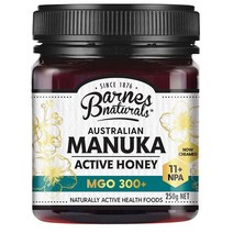 바네스내추럴스 호주 마누카 꿀 250g MGO 300+ Barnes Naturals Australian Manuka Honey, 수량, 기본