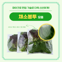 성공의정석꾼 비닐포장지 김서림 방지 채소봉투 모음, 쌈채소봉투 일반OPP 대 (200매)